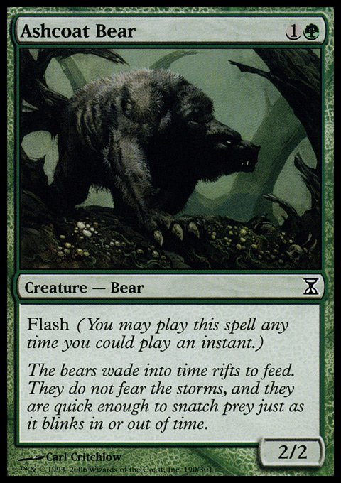 Ashcoat Bear.full.jpg