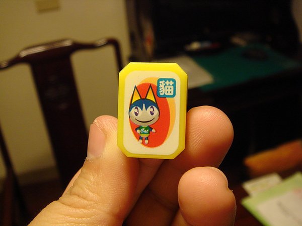 小貓.JPG