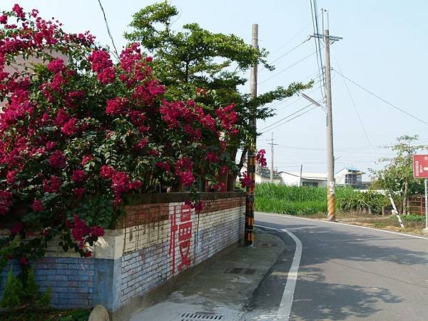 0259雲林縣大埤鄉三山國王廟旁