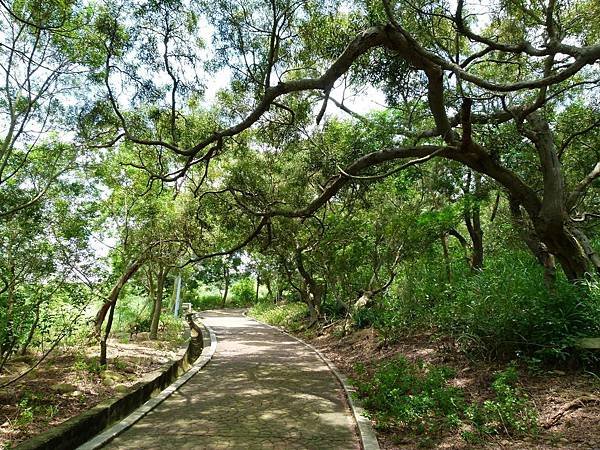 0179台中市清水區鰲峰山公園