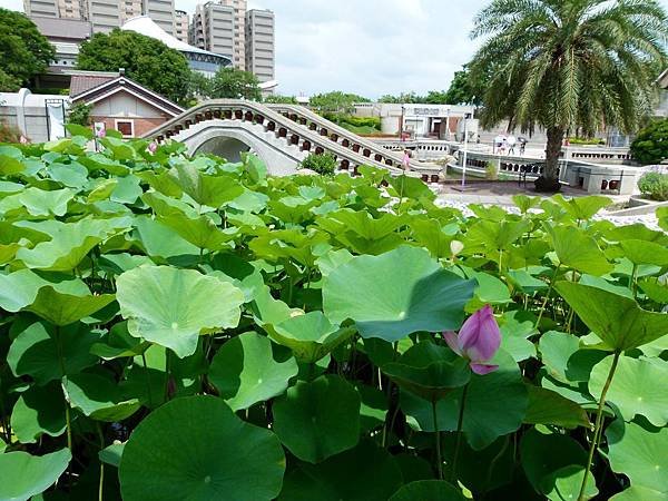 0201台中市清水區港區藝術中心