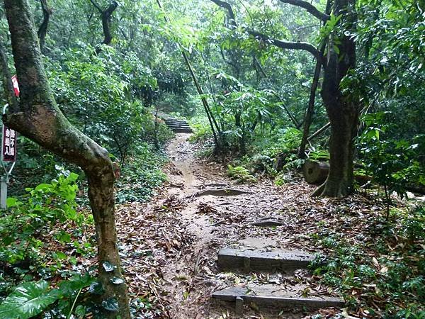 0145彰化縣彰化市桃源里森林步道