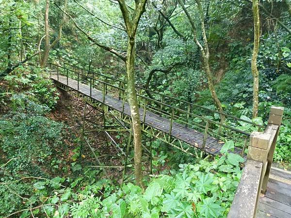 0155彰化縣彰化市龍鳳谷森林步道