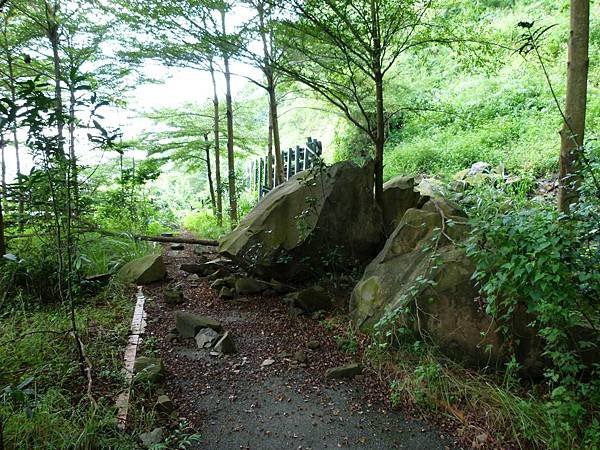 0231南投縣集集鎮獅頭山登天步道