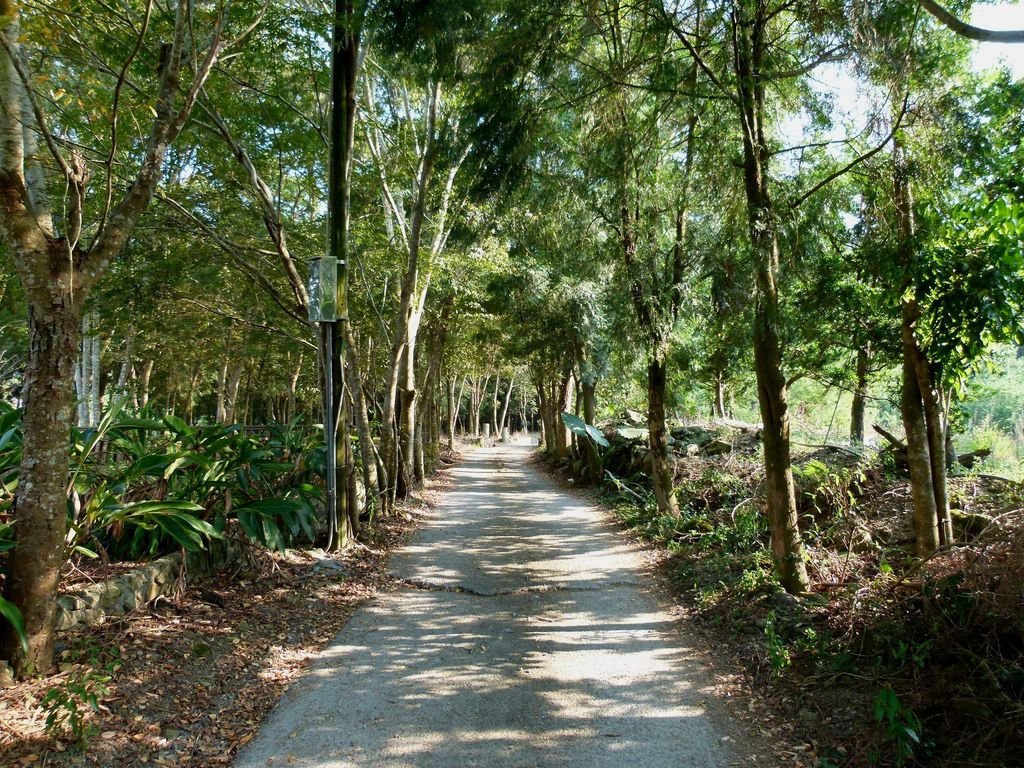 0321南投縣國姓鄉松柏崙步道