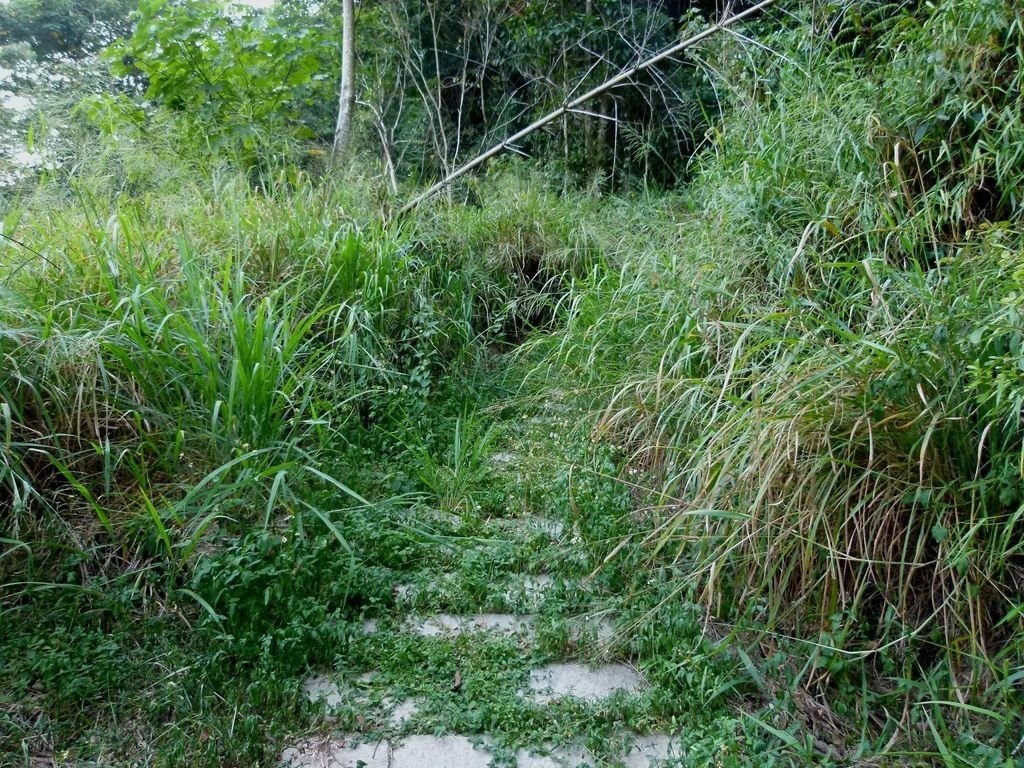 0349南投縣國姓鄉打石文化空間的龍騰古道