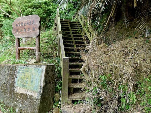 0479台中市新社區暗影步道