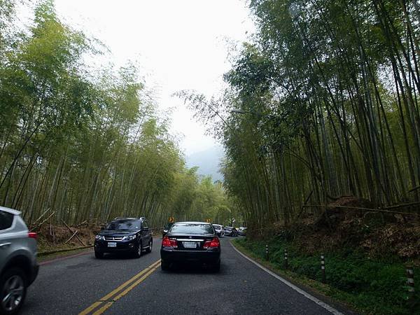 0402南投縣鹿谷鄉溪頭妖怪村