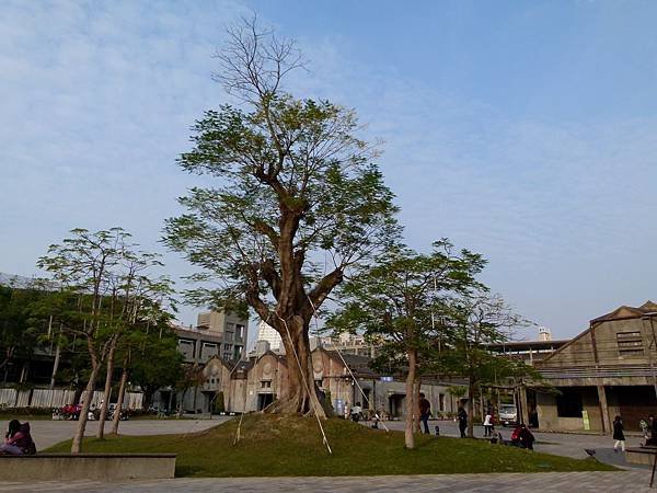 0670台中市南區台中文化創意產業園區