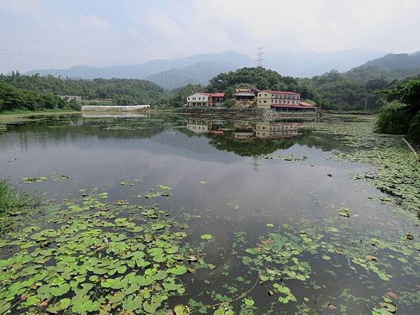0462屏東縣新埤鄉龍潭寺