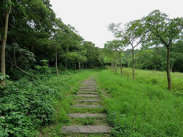 0175新竹市青青草原