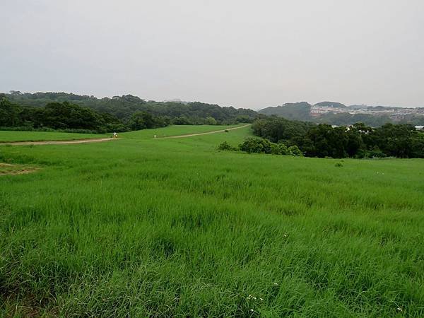 0178新竹市青青草原