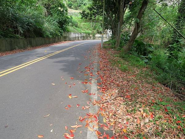 0192新竹市青峰路