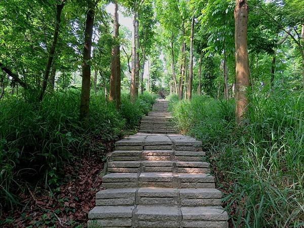 0223台南市官田區川文山