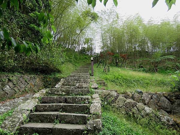 0521嘉義縣梅山鄉孝子路步道