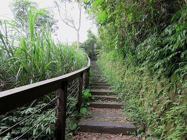 0525嘉義縣梅山鄉孝子路步道