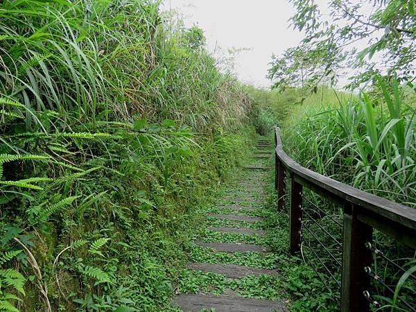 0528嘉義縣梅山鄉孝子路步道