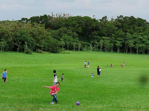 0245新竹市青青草原溜滑梯
