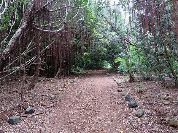 0244澎湖縣湖西鄉奎壁山環山草徑