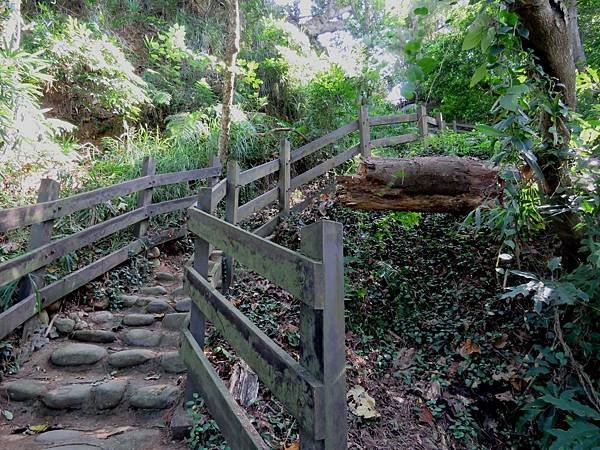 0672彰化縣社頭鄉清水岩步道之十八彎森林步道