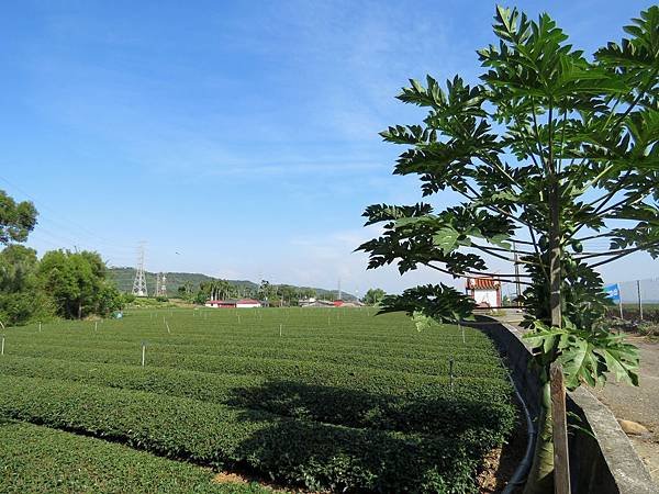 0674彰化縣社頭鄉清水岩步道