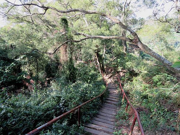 0684彰化縣社頭鄉清水岩步道之中央嶺步道