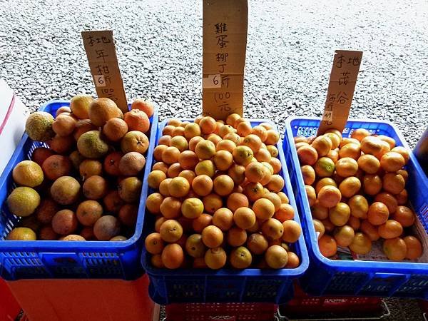 0042宜蘭縣員山鄉蘭陽老媽媽手工黑豆醬油