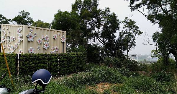 2685台中市外埔區水流東桐花步道.jpg