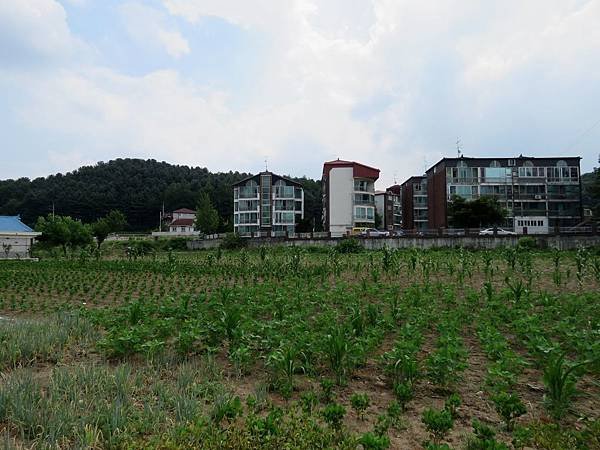 0090韓國街景