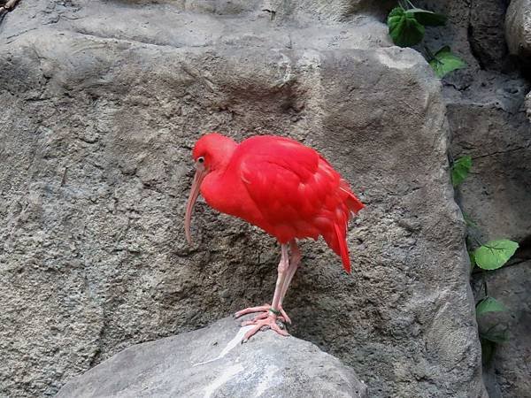 0121韓國水上星球動物園