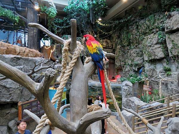 0122韓國水上星球動物園