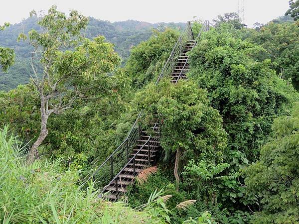 0499雲林縣林內鄉龍過脈森林步道