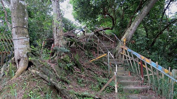 2849台中市北屯區南觀音山步道.jpg