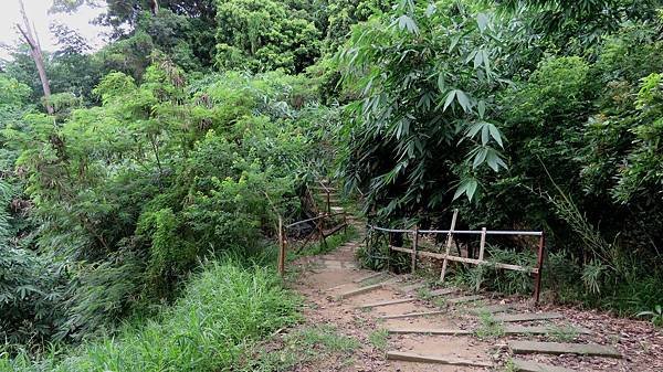 2851台中市北屯區南觀音山步道.jpg