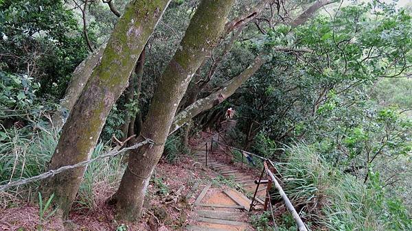 2875台中市北屯區南觀音山步道.jpg