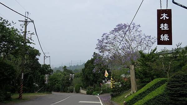 0816彰化縣花壇鄉彰64線（聽竹街）.jpg