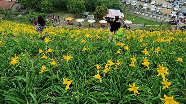 0836彰化縣花壇鄉虎山巖風景區.jpg