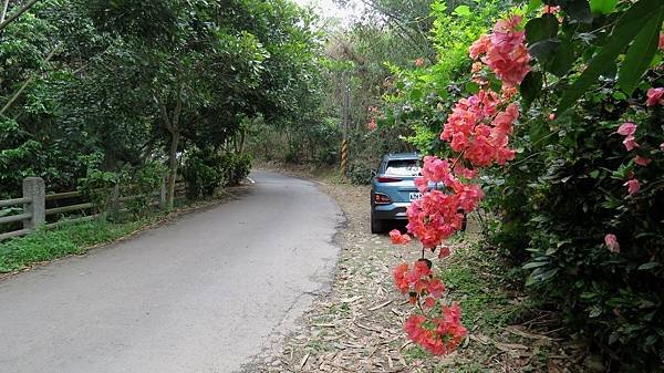 0840彰化縣花壇鄉大嶺巷.jpg