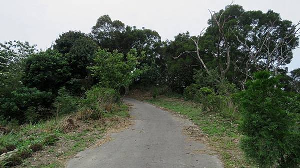 0846彰化縣花壇鄉十二分埔山（姜子寮）.jpg