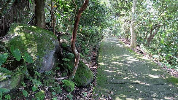 1259台南市南化區龍麟山步道.jpg