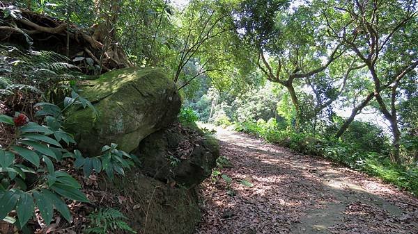 1264台南市南化區龍麟山步道.jpg