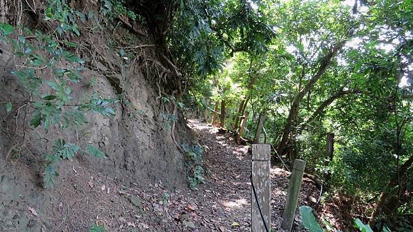 1267台南市南化區龍麟山步道.jpg