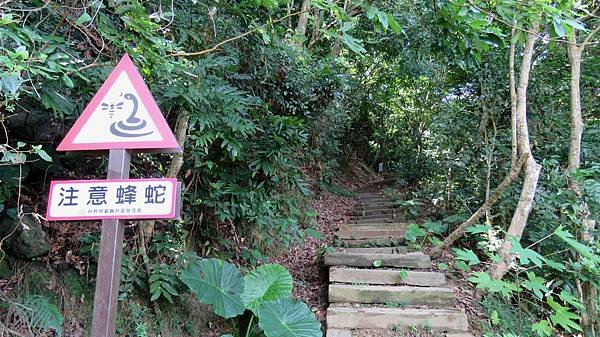 1266台南市南化區龍麟山步道.jpg