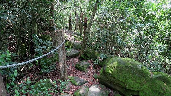 1278台南市南化區龍麟山步道.jpg