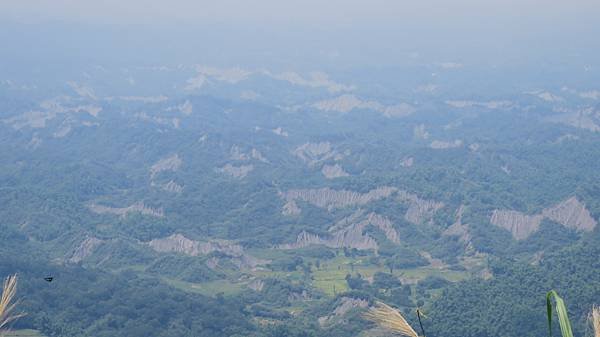 1295台南市南化區龍麟山步道.JPG