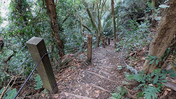 1299台南市南化區龍麟山步道.jpg