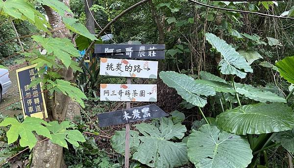 0152新北市淡水區阿三哥農莊挑炭的路.jpg