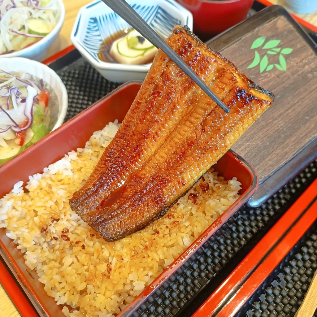 台中日料推薦|一鰻 美村匠人味自慢 唯一鰻魚飯。必點手工拔刺