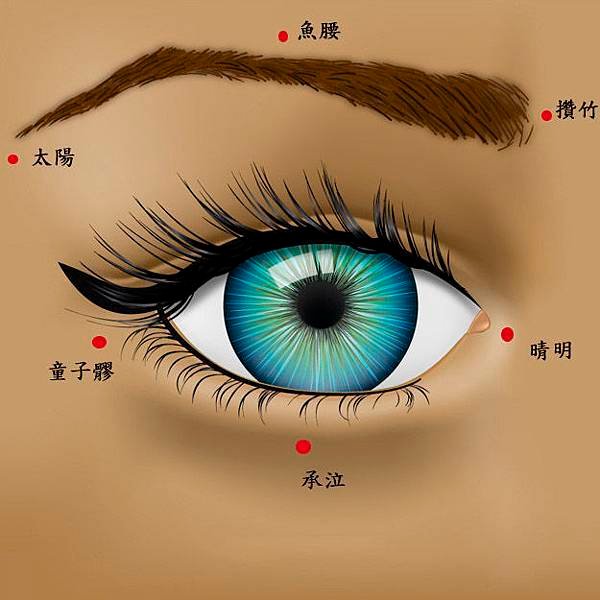 眼睛穴位01.jpg