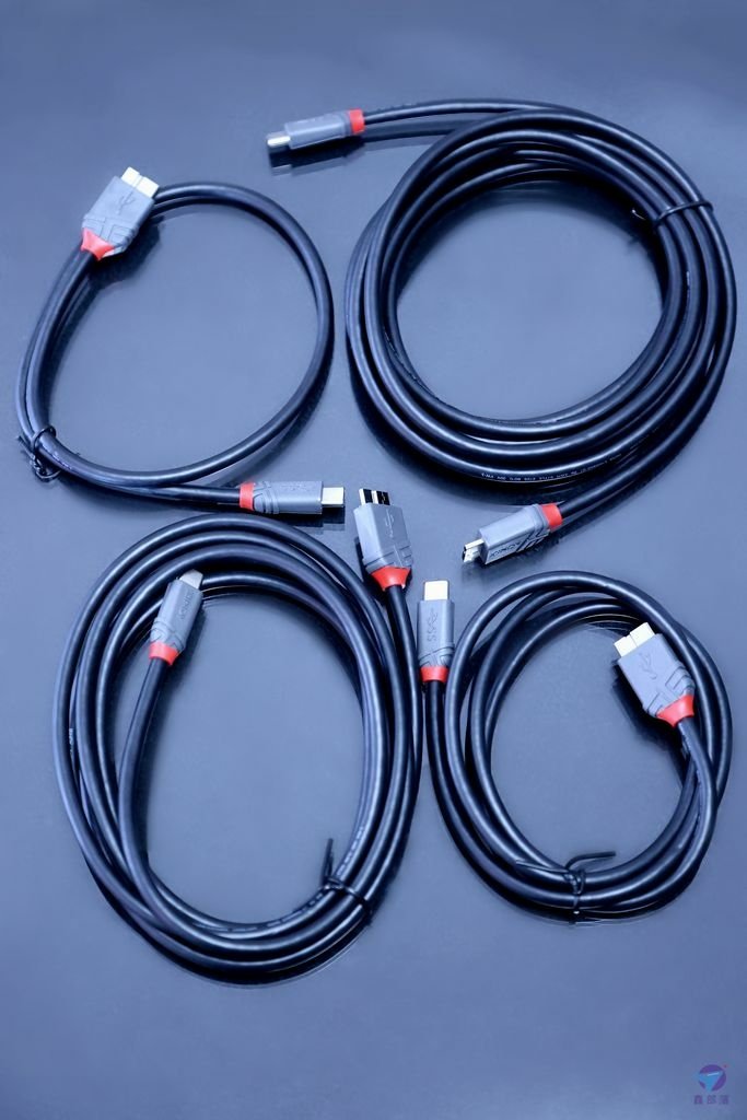 Pixnet-1917-011_德國LINDY林帝Anthra USB傳輸線開箱評測 USB 4 Gen3x2 Type-C (PD 240W)、USB 3.2 Gen1、USB 2.0 (LINDY 36956-36958 36620-36622 36941-36943 36666-36668)_IMG_6813r4_结果.jpg